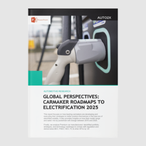 Perspectives in electrification report cover